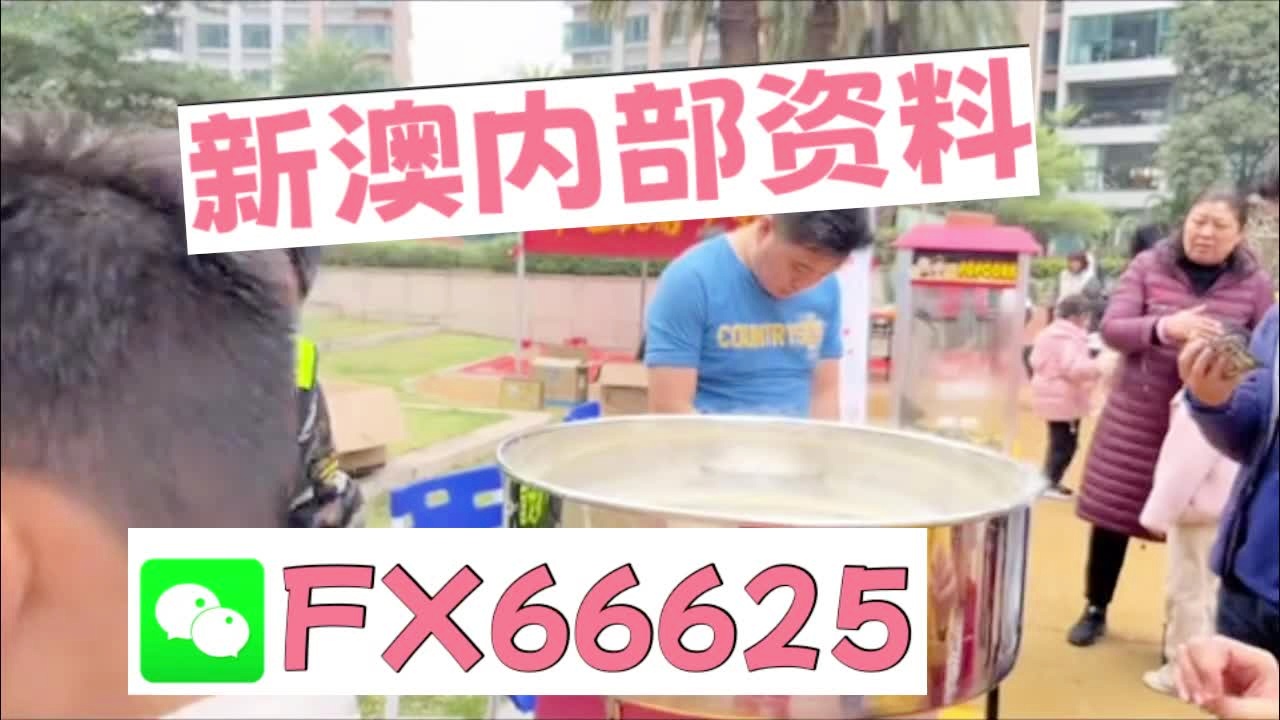 新奧2025資料大全最新版本，全面解析與深度洞察，新奧2025資料大全最新版，全面解析與深度洞察報(bào)告