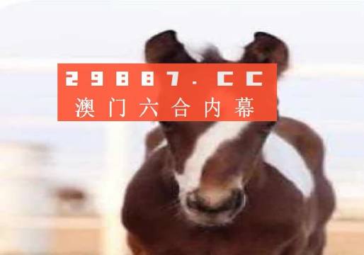 澳門一肖一碼一待一中資料，深度解析與探索，澳門一肖一碼深度解析與探索揭秘資料