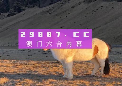 澳門天天彩資料正版免費(fèi)特色快8，探索彩票世界的魅力與機(jī)遇，澳門天天彩正版特色快8，彩票世界的魅力與機(jī)遇探索