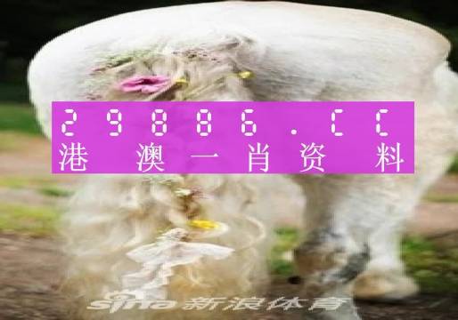 澳門羊了個羊與各大圖庫的資料揭秘，2023年澳門今晚必中一肖一碼永久免費資料庫大解密，澳門羊了個羊與資料庫揭秘，2023年必中一肖一碼永久免費資料大解密