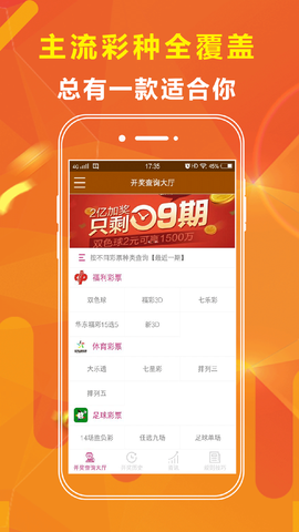 新澳門王中王五肖中特，揭秘彩票背后的秘密與策略，揭秘彩票背后的秘密與策略，新澳門王中王五肖中特分析