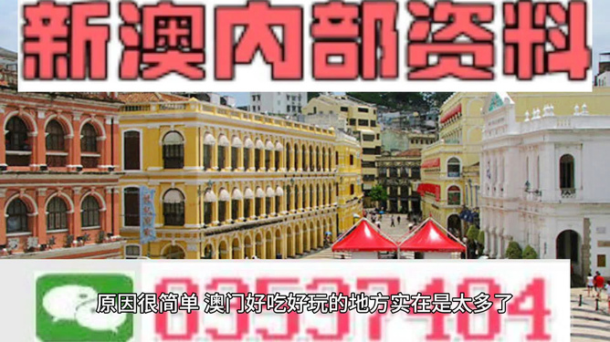 澳門精準資料大全免費，探索與解析，澳門精準資料大全免費解析探索