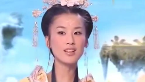 曾道道人資料免費(fèi)大全，深度探索與解析，曾道道人資料深度解析與免費(fèi)大全探索