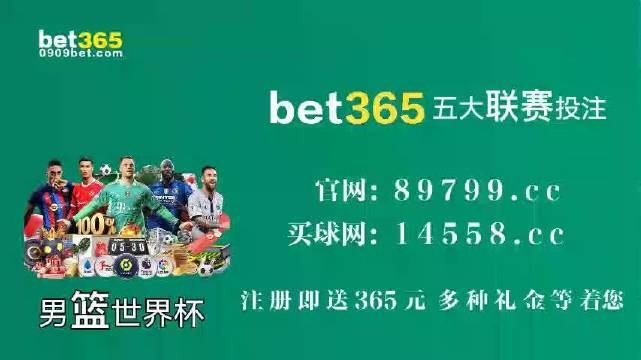 王中王中特馬王中王精準(zhǔn)資料解析與SEO優(yōu)化策略探討，王中王中特馬精準(zhǔn)資料解析與SEO策略探討