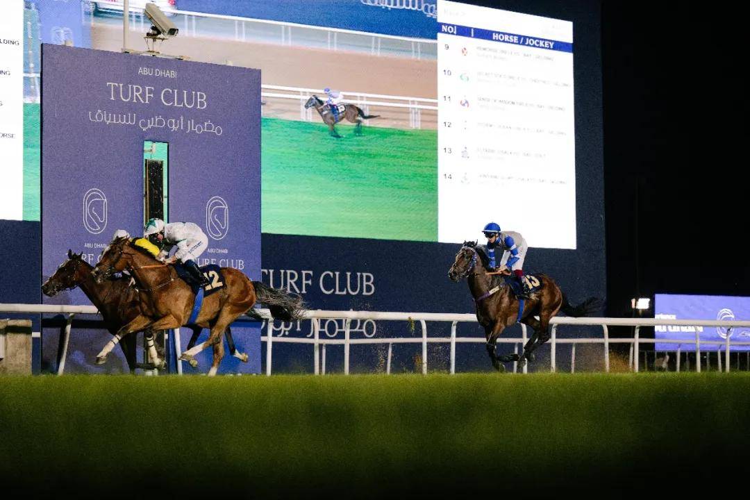 澳門特馬今晚開獎一，探索彩票背后的秘密與期待，澳門特馬今晚開獎，揭秘彩票背后的秘密與期待大獎的激動心情
