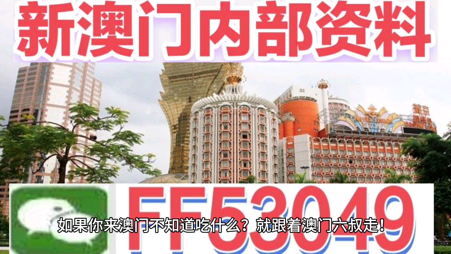 澳門今晚特馬生肖預測，探尋未來的幸運符號（2025年），澳門生肖預測揭秘，探尋未來幸運符號（特馬生肖預測 2025年展望）