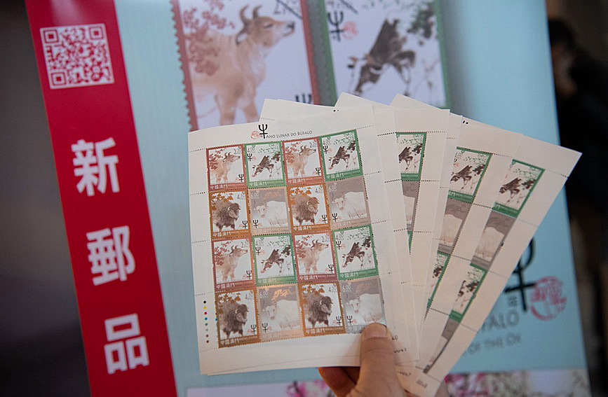 澳門值日生肖600圖庫與八百圖庫開獎，探索生肖圖庫的魅力與奧秘，澳門生肖圖庫開獎揭秘，探索值日生肖600圖庫與八百圖庫的魅力與奧秘