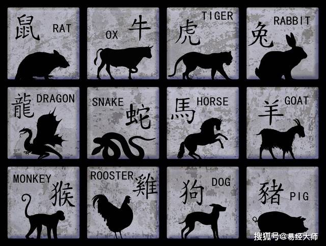 新澳特碼，羊?；⒏鲾?shù)10的獨(dú)特魅力與解析，新澳特碼，羊?；⒏鲾?shù)10的獨(dú)特魅力深度解析
