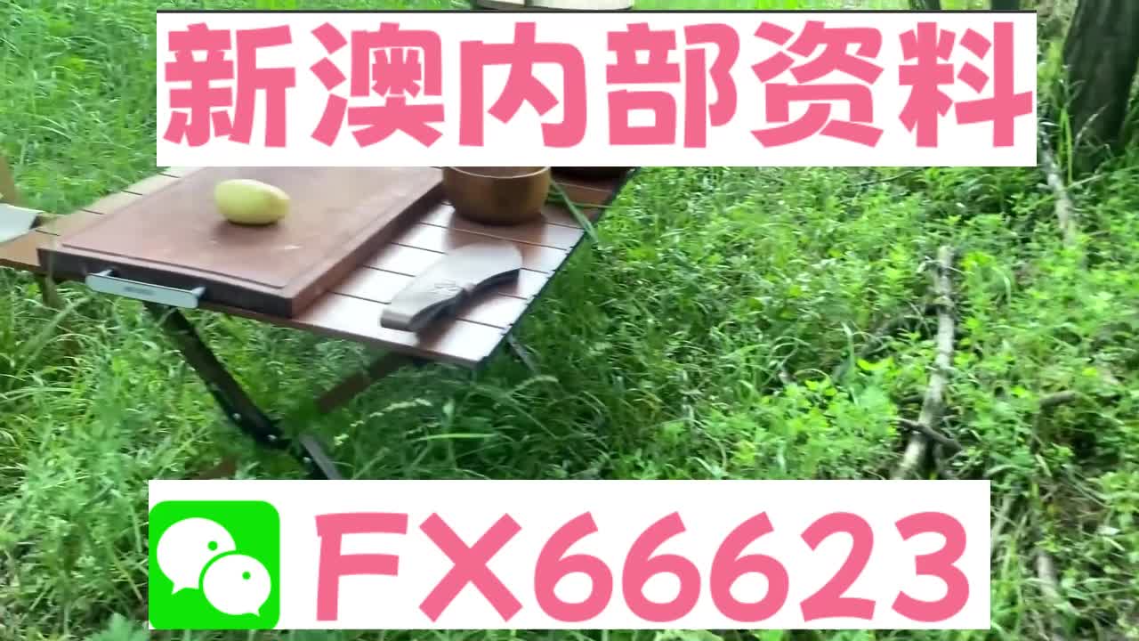 新奧特碼走勢圖解析與預測，新奧特碼走勢圖解析與預測，未來趨勢探討