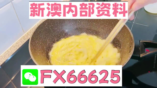 澳門九點(diǎn)半9點(diǎn)半網(wǎng)站——探索與體驗(yàn)，澳門九點(diǎn)半網(wǎng)站，探索與體驗(yàn)之旅