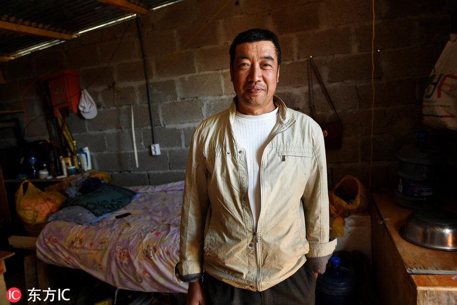 博科圣地組織，深度解析與理解，博科圣地組織深度解析與探究