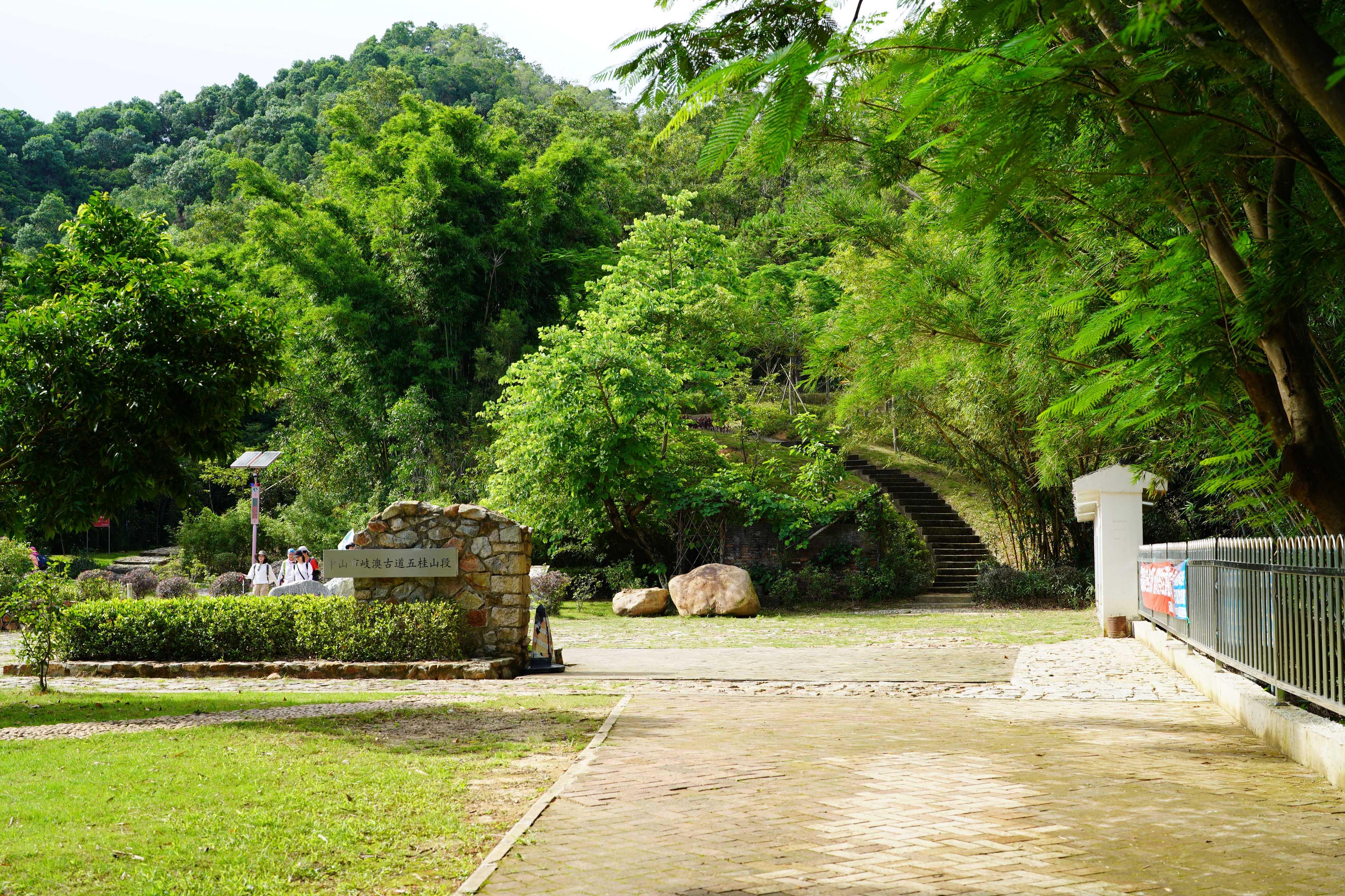 新澳門波色走勢圖表大全，深度解析與預(yù)測，澳門波色走勢圖表解析與預(yù)測大全