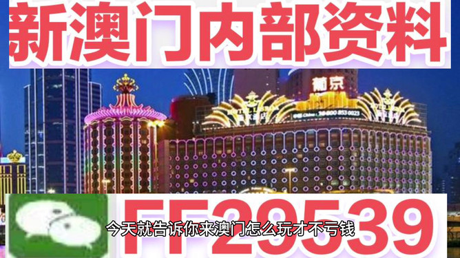 澳門今晚必開一肖——揭秘生肖彩票的魅力與策略，澳門生肖彩票揭秘，策略與魅力探索