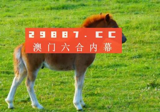 澳門(mén)答家婆一肖一馬一中一特，揭秘背后的秘密與獨(dú)特文化魅力，澳門(mén)文化魅力深度解析，答家婆一肖一馬一中一特的獨(dú)特傳統(tǒng)與秘密