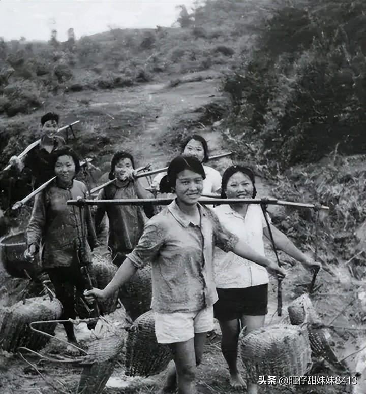 關(guān)于49圖庫圖片資料的專業(yè)解析與探索，49圖庫圖片資料深度解析與探索