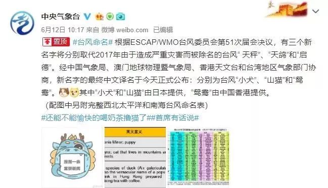 新澳門必中三肖三碼三期必開劉伯，揭秘彩票背后的秘密與策略，揭秘彩票背后的秘密與策略，劉伯的新澳門三期必開三肖三碼預(yù)測技巧