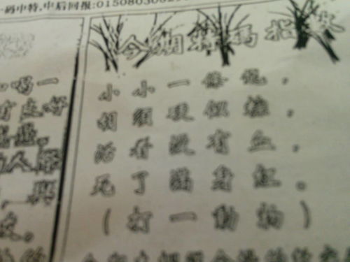劉伯溫特一肖王中王，傳奇人物與生肖之王的神秘結(jié)合，劉伯溫生肖傳奇，傳奇人物與生肖之王的神秘交融
