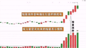 王中王一肖平碼，揭秘背后的故事與SEO策略，王中王一肖平碼背后的故事與SEO策略揭秘