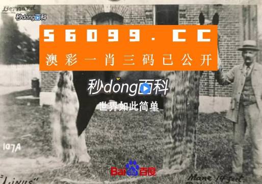 澳門王中王心水王中王，探索與解析，澳門王中王心水奧秘，深度探索與解析