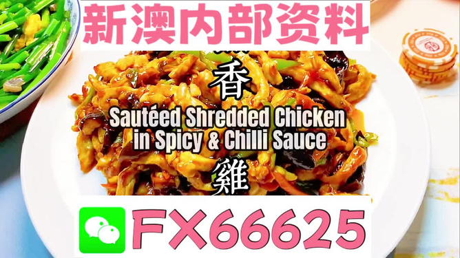 新奧天天精準(zhǔn)資料大全，全方位解讀與應(yīng)用指南，新奧天天精準(zhǔn)資料大全，全方位解讀與應(yīng)用指南手冊