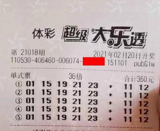 王中王018期指一生肖，揭秘背后的奧秘與意義，揭秘生肖奧秘，王中王生肖背后的意義與秘密