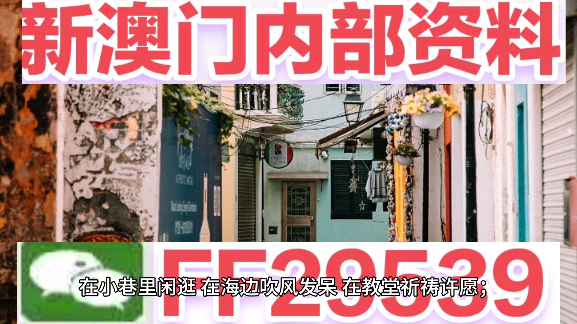 澳門資料大全——正版資料的深度探索，澳門正版資料大全，深度探索澳門資料寶庫