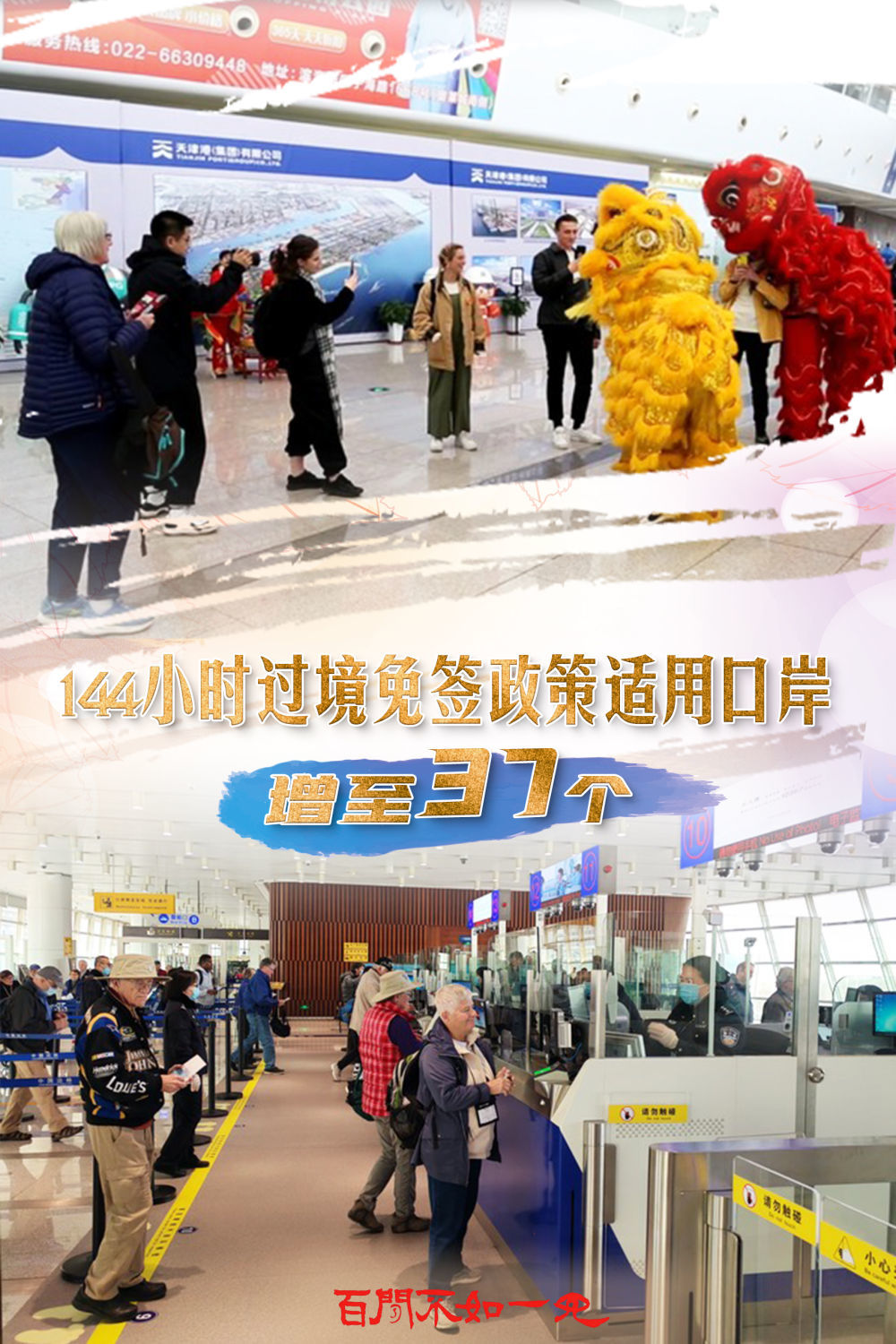 揭秘王中王，一碼一肖一特一中背后的故事，揭秘王中王背后的故事，一碼一肖一特一中傳奇揭秘