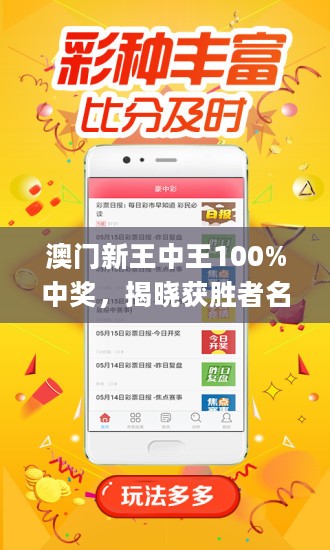 王中王藏寶閣猜一肖，揭秘背后的秘密與SEO策略，王中王藏寶閣猜一肖背后的秘密與SEO策略揭秘