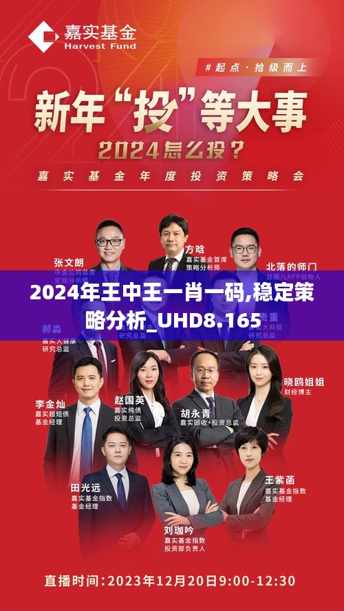 王中王一馬中一肖一馬，探尋背后的故事與奧秘，探尋王中王一馬中一肖一馬背后的故事與奧秘