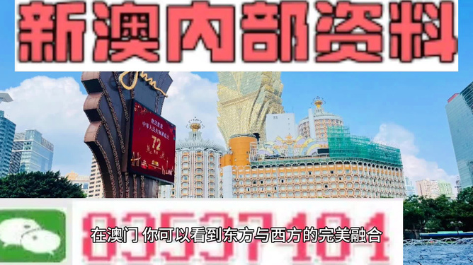 新澳新澳門正版資料，探索與解讀，新澳新澳門正版資料的探索與解讀