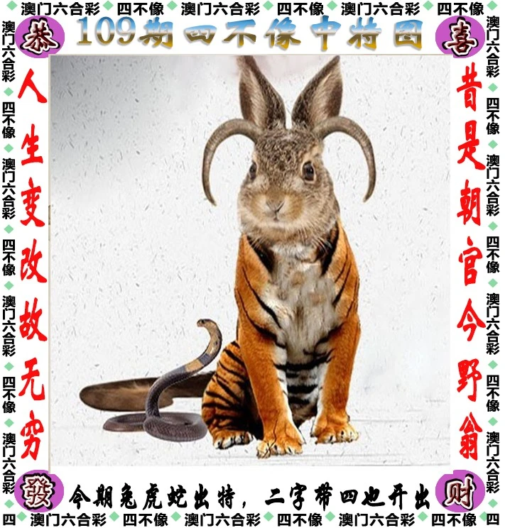 四不像王中王資料一肖，深度解析與探索，四不像王中王資料一肖，深度解析與探索揭秘