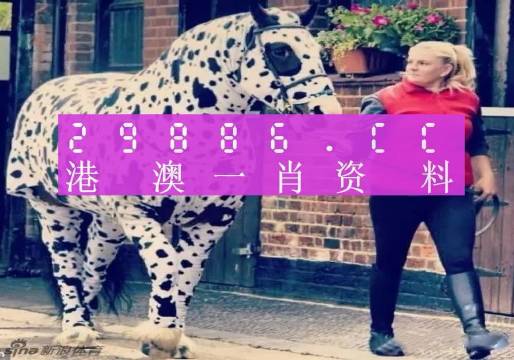 澳門王中王，一肖一特一中深度解析（180期精彩回顧），澳門王中王，深度解析第180期精彩回顧，生肖與特碼揭秘