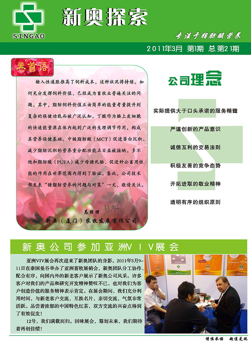 2025新澳正版資料精準(zhǔn)解析，2025新澳正版資料精準(zhǔn)解析手冊