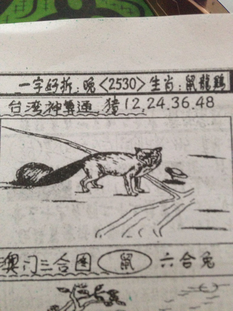 揭秘劉伯溫的生肖，一場看圖尋特之旅，揭秘劉伯溫生肖之謎，一場生肖圖片探尋之旅