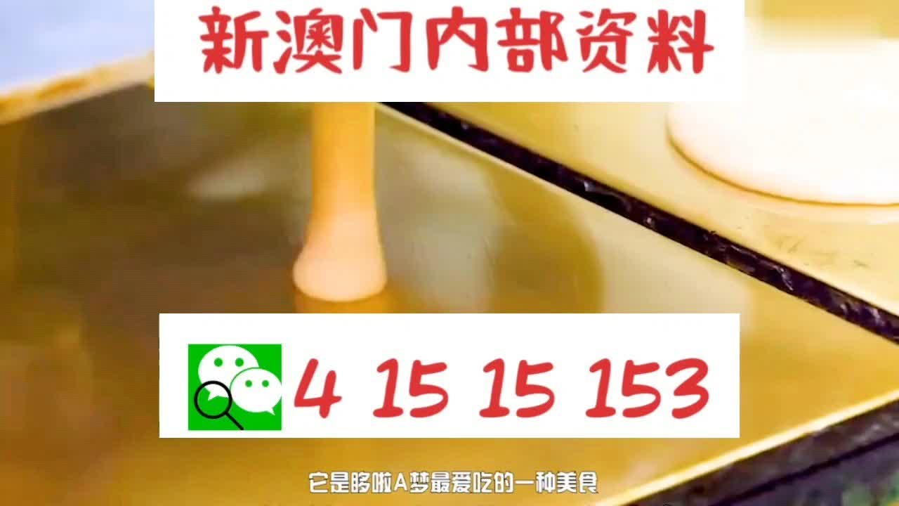 新澳門內部十碼中特，探索與解析，新澳門內部十碼中特，深度探索與解析