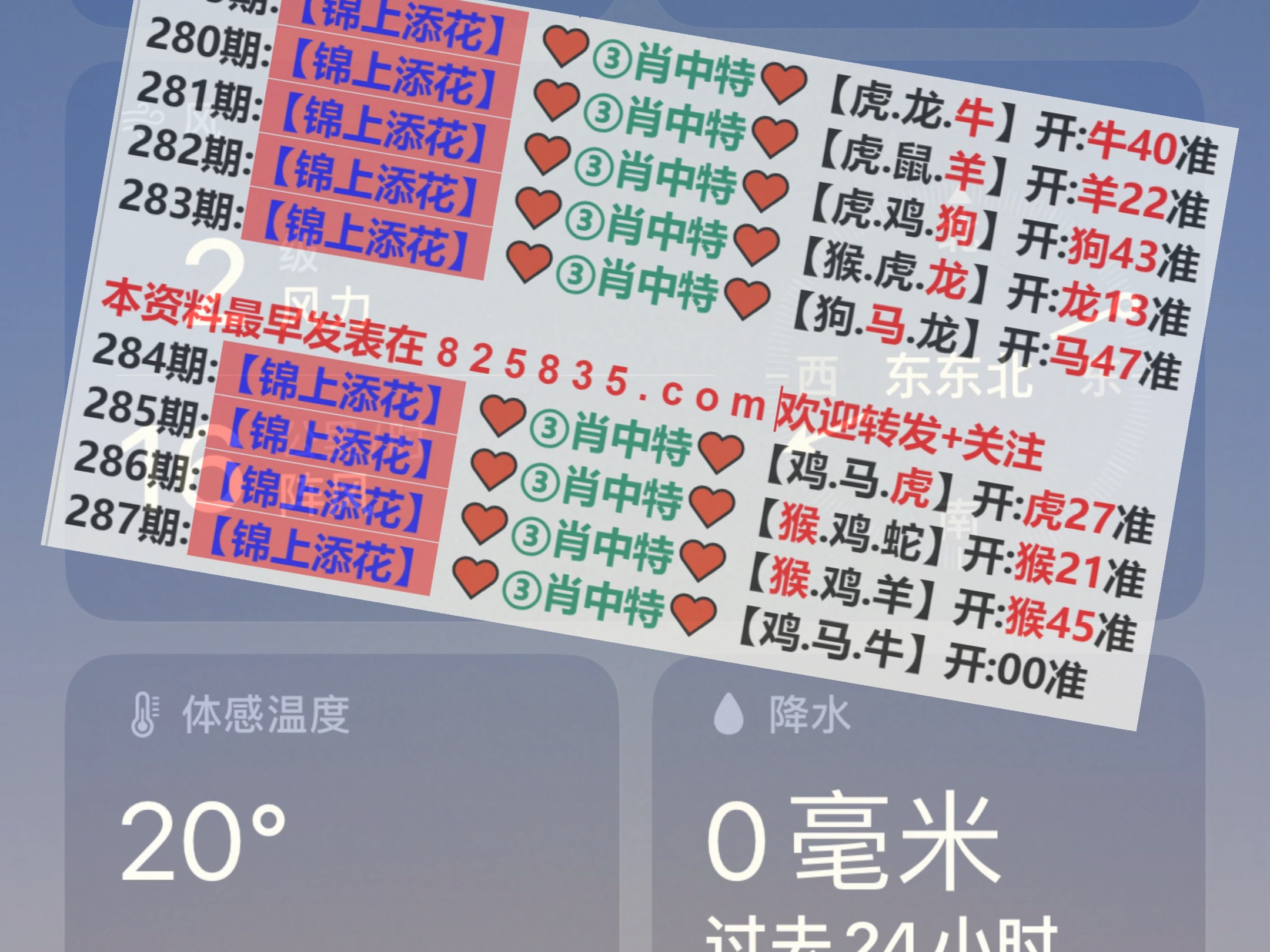 新澳2025年精準(zhǔn)一肖一碼，揭秘預(yù)測背后的秘密，揭秘新澳2025年精準(zhǔn)一肖一碼預(yù)測背后的秘密