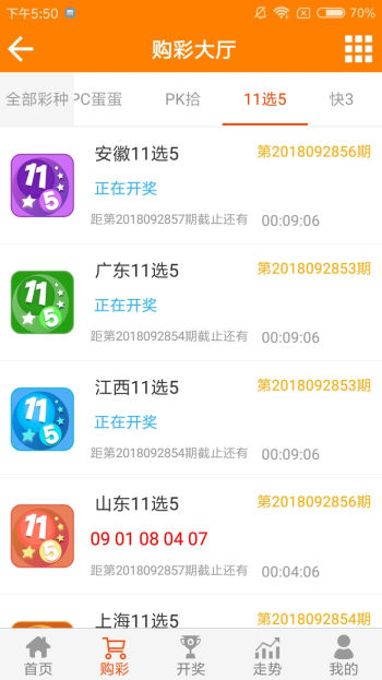 王中王資料一肖一特，深度解析與探索，王中王資料一肖一特，深度解析與探索揭秘
