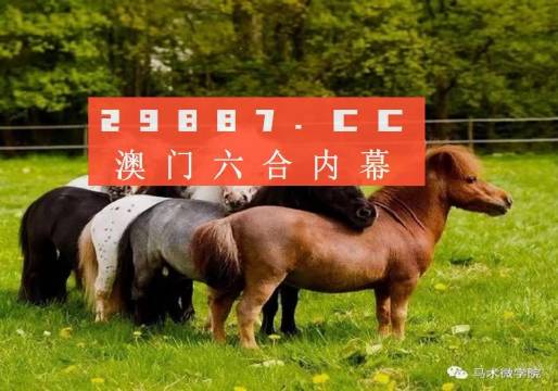 馬會王中王平特一肖論壇，探索與討論的平臺，馬會王中王平特一肖論壇，探索與討論的平臺匯聚智慧力量