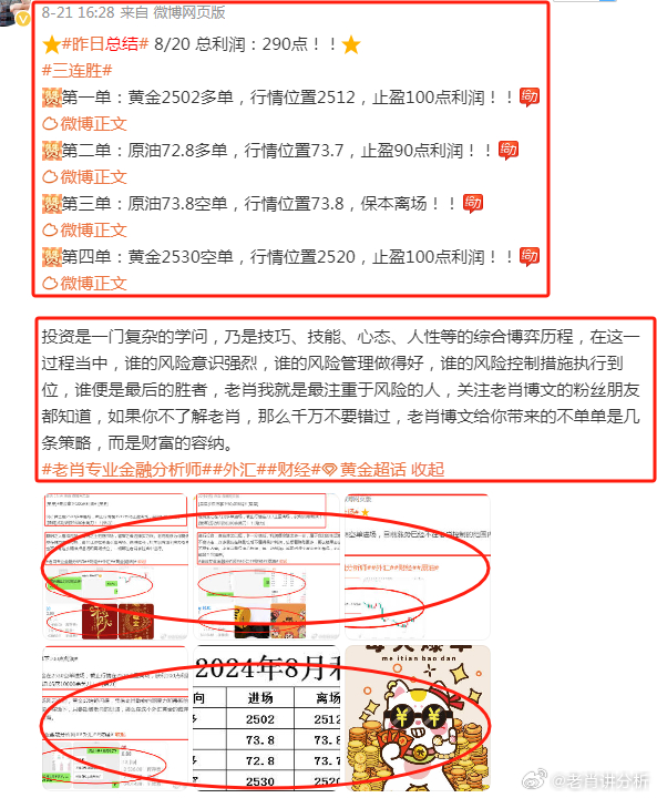 香港王中王一肖最準——揭秘精準預(yù)測的秘密，揭秘香港王中王一肖精準預(yù)測的秘密之道
