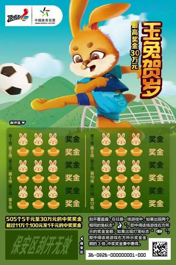 王中王一肖中特兔費(fèi)，探索關(guān)鍵詞背后的奧秘，探索關(guān)鍵詞王中王一肖中特兔費(fèi)背后的奧秘