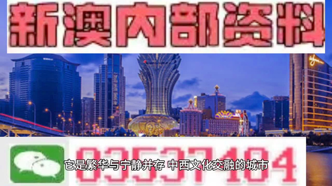 新澳門精準資料大全，探索與解析，新澳門精準資料大全，深度探索與解析