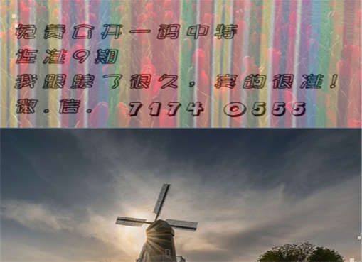王中王四肖三期必出一期，揭秘彩票背后的秘密策略與技巧，揭秘彩票策略與技巧，王中王四肖三期必出一期之道