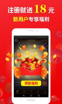 王中王的一肖，探尋背后的奧秘與故事，王中王的一肖，揭秘背后的奧秘與傳奇故事