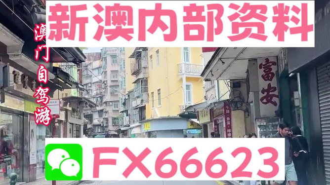新澳精準資料免費提供，探索與利用資源助力成功，新澳精準資料免費分享，助力成功探索與利用資源
