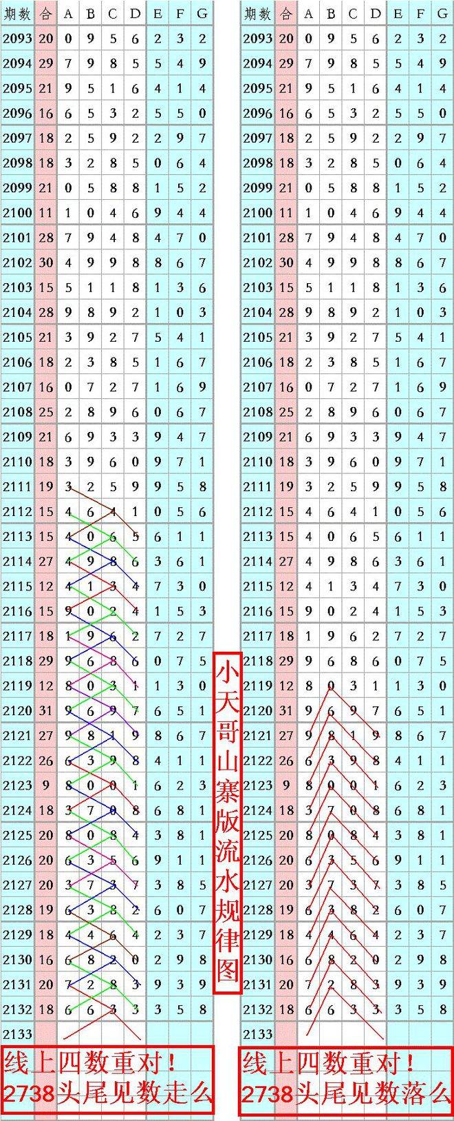 王中王資料一肖正特馬，深度解析與探索，王中王資料一肖正特馬深度解析與探索揭秘