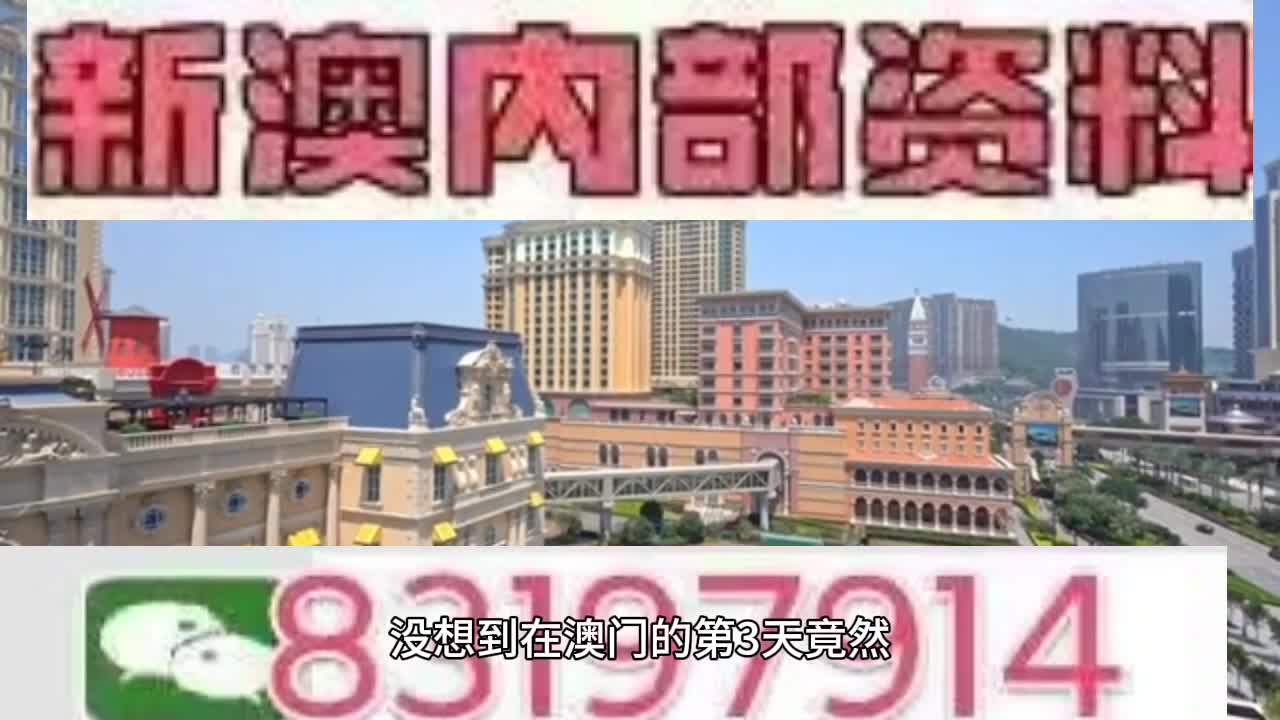 新澳門今晚必開一肖一特，探索生肖與特碼的魅力，澳門生肖特碼探索，今晚必開一肖一特之魅力