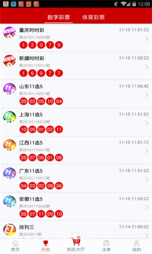 一碼一肖，揭秘背后的秘密與探索其獨(dú)特魅力，揭秘一碼一肖背后的秘密與獨(dú)特魅力探索