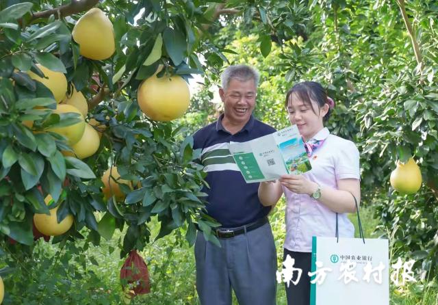 資料大全正版資料2025，一站式獲取所有你需要的信息，資料大全正版資料2025，一站式獲取所有信息總匯