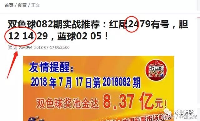 王中王082期指一生肖——探尋生肖魅力，洞悉運勢奧秘，探尋生肖魅力，揭秘運勢奧秘——王中王生肖運勢解析 082期