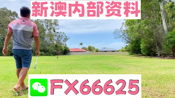 王中王一碼二肖，揭秘背后的秘密，揭秘王中王一碼二肖背后的秘密